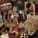 🤎⸝⸝ ꒰ 𝐔𝐍𝐓𝐀𝐌𝐄𝐃 🐆 ⁞ ˎˊ˗💋 Discord server icon