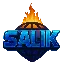 SALIK NETWORK