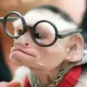 Idiot Monkeys