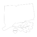 Connecticut State Roleplay