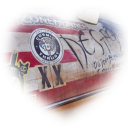 ANDROID GIRLS  ｡   ☣ Discord server icon