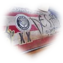 ANDROID GIRLS ｡  Discord Server Icon