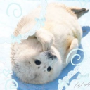 ⋆˚࿔ 🧊 /ᥴhillee ! ( >⩊< )  ꕀ   social. fun. giveaways. chill. nitro. hangout. games. vc. art. events