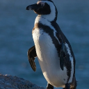 射精 Discord server icon