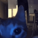 ktty Discord server icon