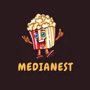 MediaNest - PLEX STREAMING