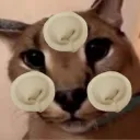 Республика Шлепа (Возрождение)