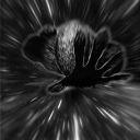 𝐇𝐨𝐮𝐬𝐞 𝐨𝐟 𝐄𝐯𝐨𝐥𝐮𝐭𝐢𝐨𝐧 Discord server icon