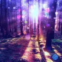 ˚˙•∘✧𝓵𝓸𝓼𝓽 𝓪𝓷𝓭 𝓯𝓸𝓾𝓷𝓭✦∘•˙˚