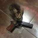El Gato | NWCL