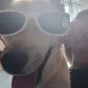 PG Boss's server 3 discord icon