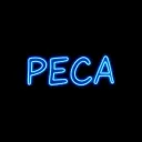 PECA PUB💰