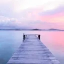 𝕊𝕚𝕝𝕖𝕟𝕥 𝕊𝕒𝕟𝕔𝕥𝕦𝕒𝕣𝕪 Discord server icon