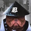 Earlcord