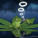 ToastedFrogs' LillyPad