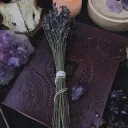 witchcraft gang