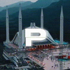 Discovery icon for Punjabians Discord server