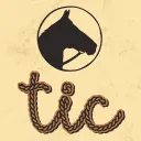 The Internet's Campfire's icon