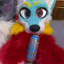 🐾Tomfoolery furs🐾