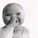 Niche Baby