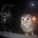 Server icon for Crow's Cave│MEMES │DATING│HANGOUT