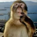 Nonchalant server [.gg/badboyz] Server Icon