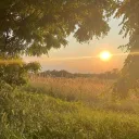 🔆 𝔂𝓾𝓶𝓮 𝓯𝓲𝓮𝓵𝓭𝓼 🔆 discord icon