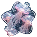 ⋅˚₊‧ ଳ ‧₊˚ ⋅ Yumequarium 🫧🪼