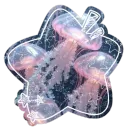 ⋅˚₊‧ ଳ ‧₊˚ ⋅ Yumequarium 🫧🪼 discord icon