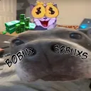 bobuxs bobuxs