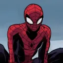 🕸 SPIDER-INTER-WEB