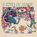 the kind of magic