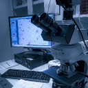 ꒰ა 𝙳𝚊𝚛𝚔𝚜𝚔𝚢 𝙻𝚊𝚋 ໒꒱ Discord server icon