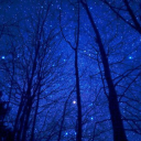 ☆ Celestial Minds ☆ Discord server icon