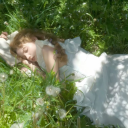 *. · /botanica  🌿  ﹒social  ﹒ gvws ﹒ gaming ﹒ Discord server icon