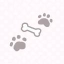 Pluto's puppy playground