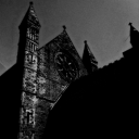 cove (18+) Server Icon