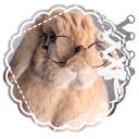 Self-Ship Haven ˚ ♡ ˳ ˖  𝜗𝜚 Discord server icon