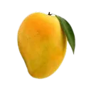 mango ville