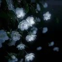 🐙PASHTOONIA discord icon