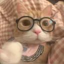 Kittycord    Discord Server Icon