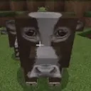 ZenjiSMP