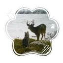🌲⋆Paw Pines˚. ᵎᵎ🐾