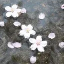 gloomys hideout's icon