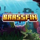 Brassfin Smp