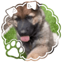 playful paws Discord server icon