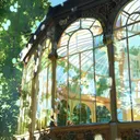 Xenthia- RP Server