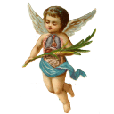 ⊹˚. ♡.𖥔 ݁ Yume Time !  ⊹˚. ♡.𖥔 ݁ Discord server icon