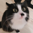 ApriceTwT's server Discord server icon