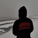 grims skinchecker